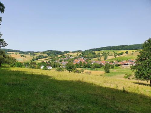 a green field with a town in the distance at Ferienbauernhof Brandt in Klein-Bieberau