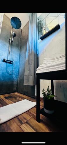 a bathroom with a shower and a table with a plant at CzarnyGaj in Gaj