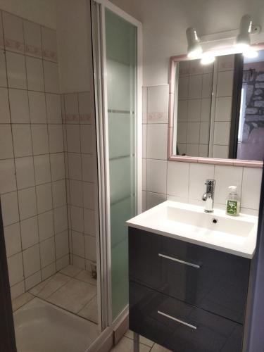 a bathroom with a sink and a shower at Chambres d'hôtes Mas Lassagne in Vagnas