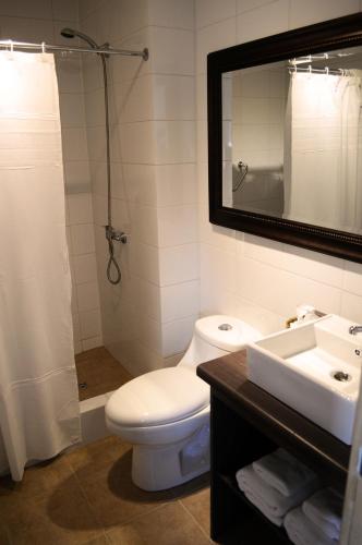 a bathroom with a toilet and a sink and a mirror at Apart Hotel Endurance in Punta Arenas