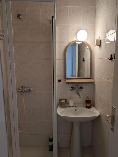 a bathroom with a sink and a shower with a mirror at KRAGUJ apartments 1 in Kragujevac