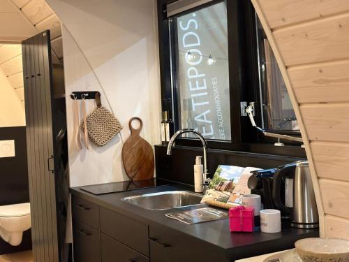 a kitchen with a sink and a counter top at Simmerwille - stilte accommodaties in nationaal park de Alde Feanen in Earnewâld