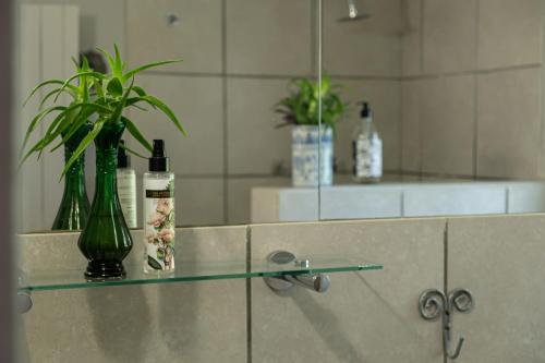 a glass counter with a bottle and a plant on it at Kuruma Farm Cottages in Worcester
