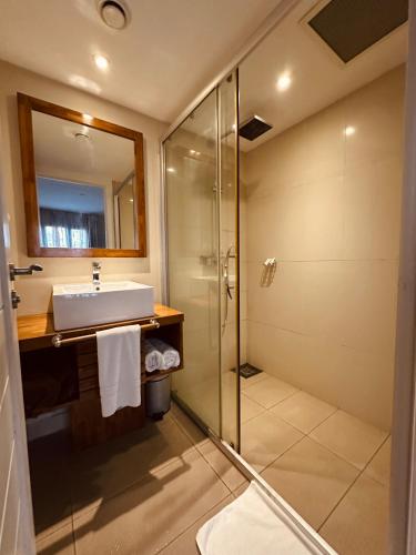 a bathroom with a sink and a shower at Be Cosy Private Villa - Trou aux Biches in Triolet