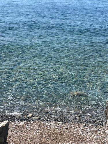 a beach with clear blue water and rocks at Il Pettirosso in Acciaroli