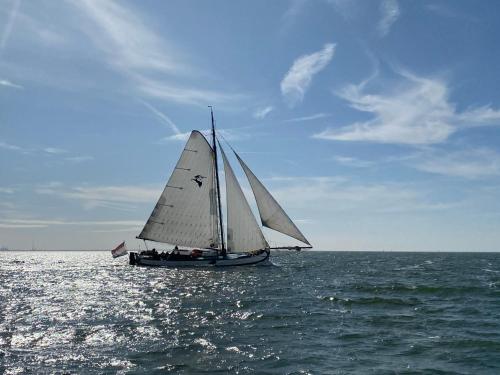 a sail boat in the ocean on the water at tjalkjacht pelikaan enkhuizen in Enkhuizen