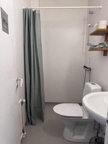 a bathroom with a toilet and a sink and a shower at Södra Ljunga Vandrarhem in Ljungby
