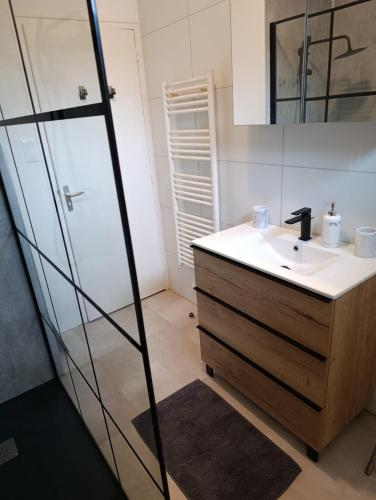 a bathroom with a sink and a mirror at Maison bretonne 119 m2 - jardin clos - 30 min Côte Émeraude in Plénée-Jugon