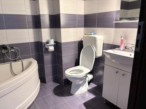 a bathroom with a toilet and a sink at Bella Home Residence2 in Roşu