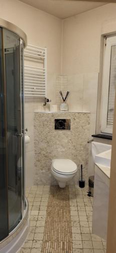 a bathroom with a toilet and a sink and a shower at Pension Melsungen in Melsungen