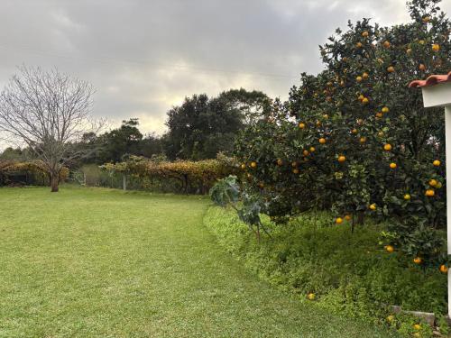 Alma CaloRosa Garden Apartment