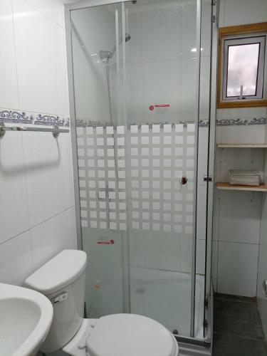 a bathroom with a shower and a toilet and a sink at TINY HOUSE EL ROBLE in Puerto Varas