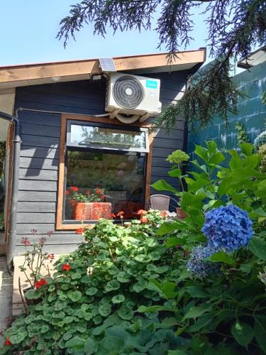 a house with a window with a speaker and flowers at TINY HOUSE EL ROBLE in Puerto Varas