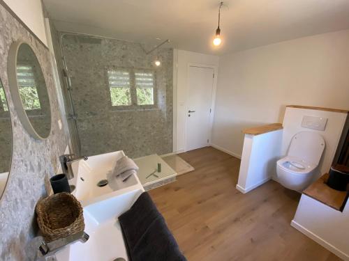 a bathroom with a sink and a toilet at La maison d'à côté - Sart in Jalhay