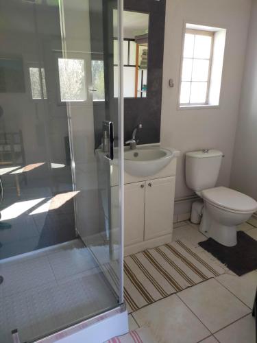 a bathroom with a shower and a toilet and a sink at Logis51 in Ville-sur-Tourbe