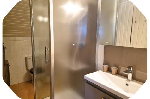 a bathroom with a shower and a sink at Gîte 2 pers - La Pommeraie - Le Coin Ardenne in Sainte-Ode