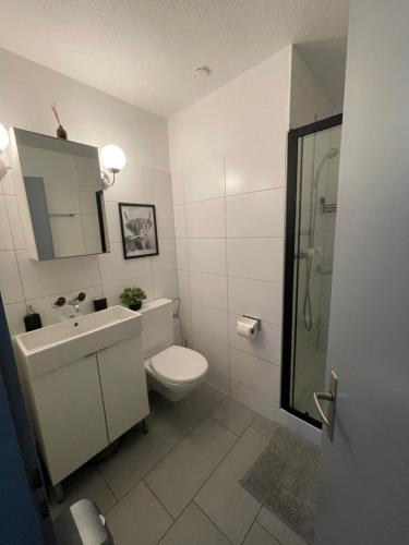 a white bathroom with a toilet and a sink at 4P Apartment in Andermatt