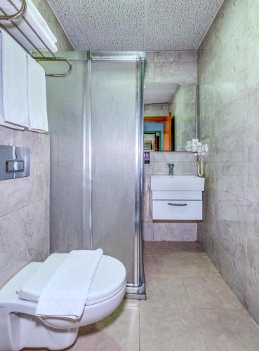 a bathroom with a shower and a toilet and a sink at Green Garden Hotel - Bahçelievler in Istanbul