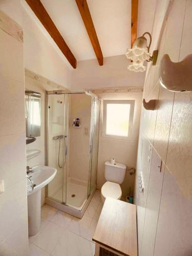a bathroom with a shower and a toilet and a sink at Villa Cala Lanuza in Alicante