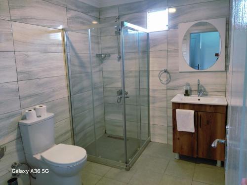 a bathroom with a shower and a toilet and a sink at Esta123 in Kavaklıdere