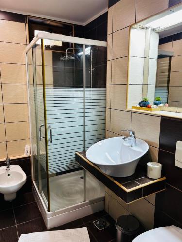 a bathroom with a sink and a shower and a toilet at IANIS Apartment in Orăştie