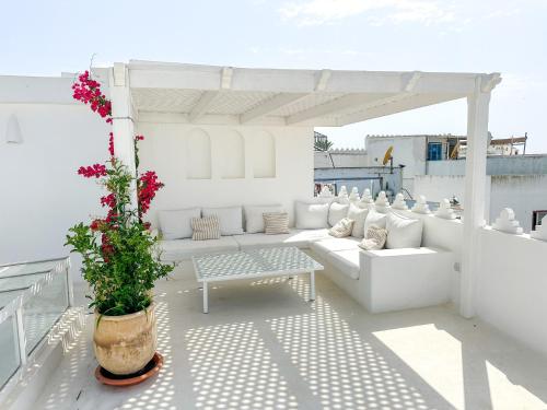 a white patio with a white couch and a plant at Riad Olivia in Asilah
