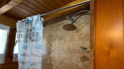 a shower in a bathroom with a shower curtain at Casa Monte Agaro in Castello Tesino