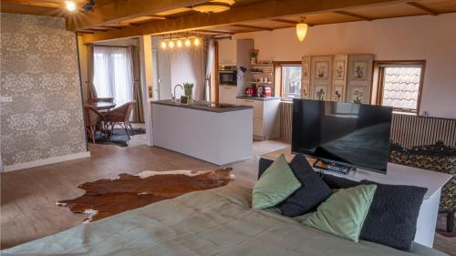 a living room with a couch and a large tv at De Bollenkamer in Zilk