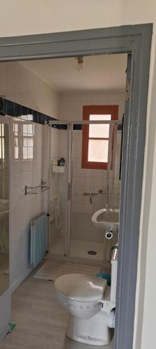 a bathroom with a toilet and a shower and a sink at Passage des Jardins in Sorède