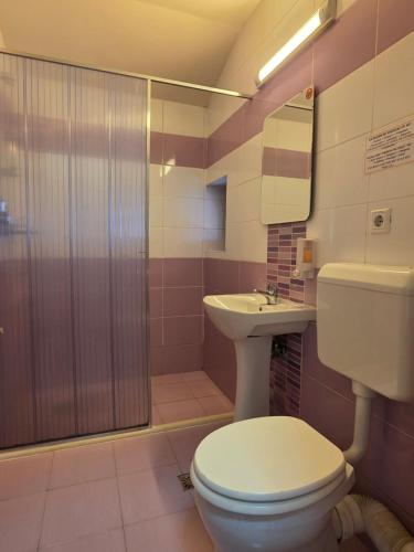 a bathroom with a toilet and a sink and a shower at Pensiunea Maria , Floresti in Floreşti