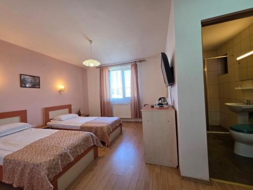 a hotel room with two beds and a bathroom at Pensiunea Maria , Floresti in Floreşti