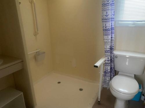 a small bathroom with a toilet and a shower at Woodlands Dene - Crimdon Dene Holiday Park - Accessible in Hartlepool