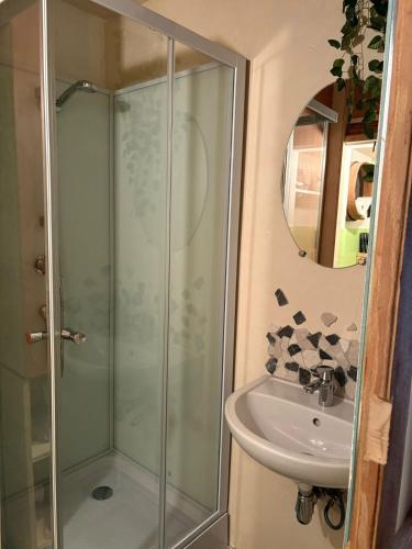 a bathroom with a shower and a sink at Moulin de Noallie in Magland