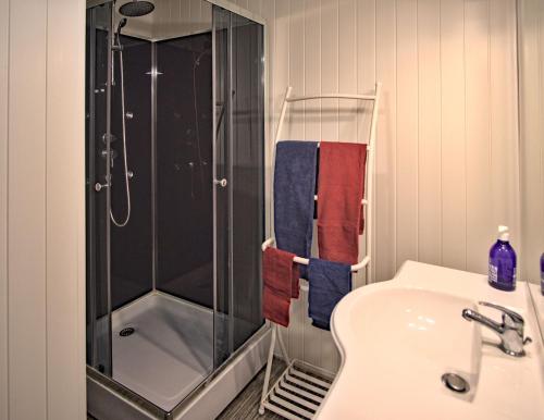 a bathroom with a shower and a sink at Les Hirondelles in Ouroux