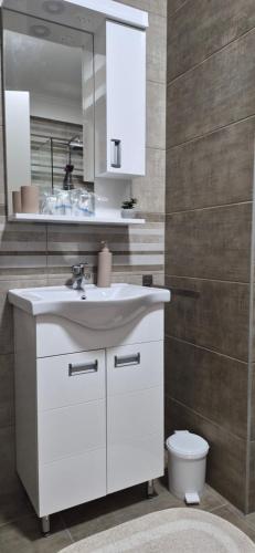a bathroom with a sink and a mirror and a toilet at Apartman Mikulic 2 in Subotica