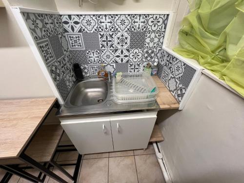 a small kitchen with a sink in a room at Le Nid du Centre in Anzin