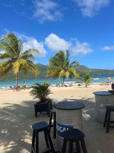 a beach with chairs and palm trees and the ocean at Residence Xamanai Playa Rincón II in Palmarito