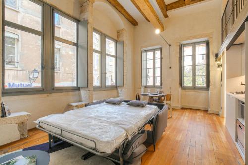 Duplex lumineux et authentique, Vieux-Lyon