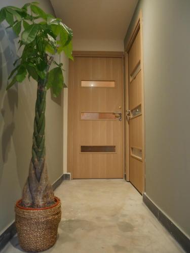 a hallway with a door and a plant in a basket at Le Petit Provençal in Sénas
