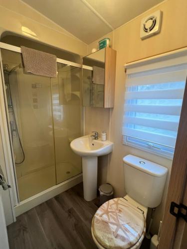 a bathroom with a toilet and a sink and a shower at Rockley Valley TV36 in Lytchett Minster