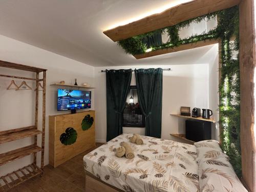 a bedroom with a bed and a television in it at Fuera de tiempo in Albalat de la Ribera