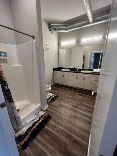 a bathroom with a toilet and a sink and a mirror at Graphite Loft in Des Moines