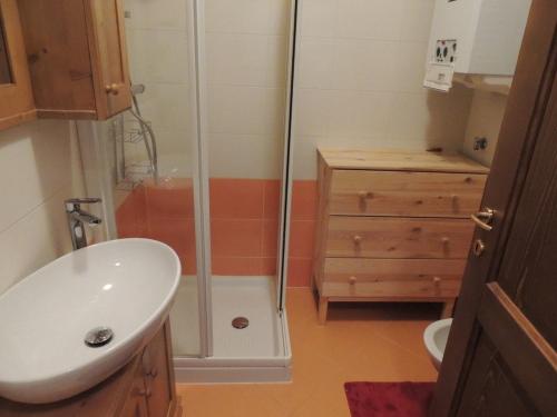 a bathroom with a shower and a white sink at Ai Margini del Bosco in Sappada