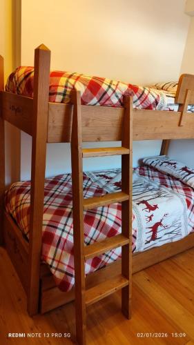 a pair of bunk beds in a room at Ai Margini del Bosco in Sappada