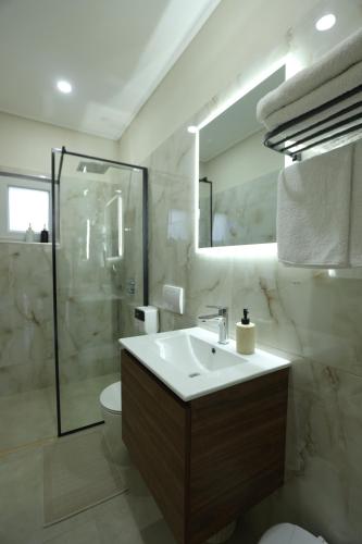 a bathroom with a sink and a shower and a toilet at The Swan Nest 1 in Pogradec