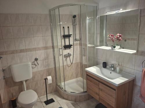 a bathroom with a shower and a toilet and a sink at Apartments Uvala Murtar in Jezera