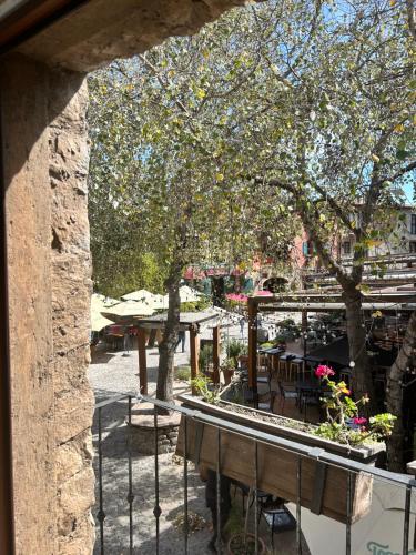 a view of a patio with tables and trees at Hermoso departamento en Val’Quirico Loft Frontana in Tlaxcala de Xicohténcatl