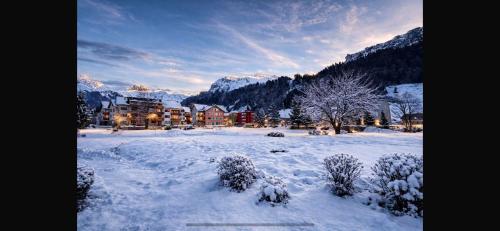Golden Hour Apartment - Ski - Titlis