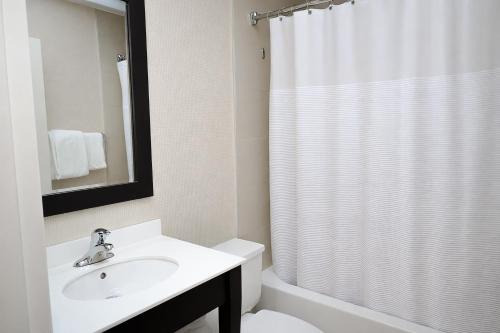 a bathroom with a sink and a shower curtain at Skyline Hotel & Waterpark in Niagara Falls