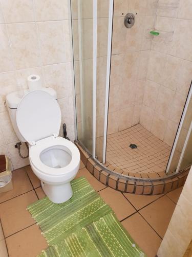 a bathroom with a toilet and a shower at Jolly Suites in Midrand